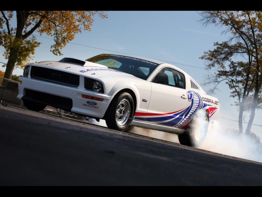 Ford Cobra Jet Mustang 2008 года  (фото 5 из 9)